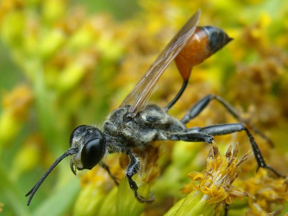 Фотография автора Павел Попов