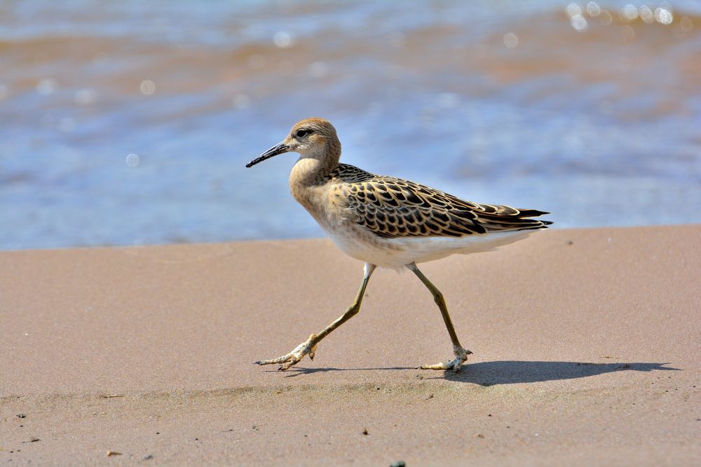 Photograph by Александр Зуев