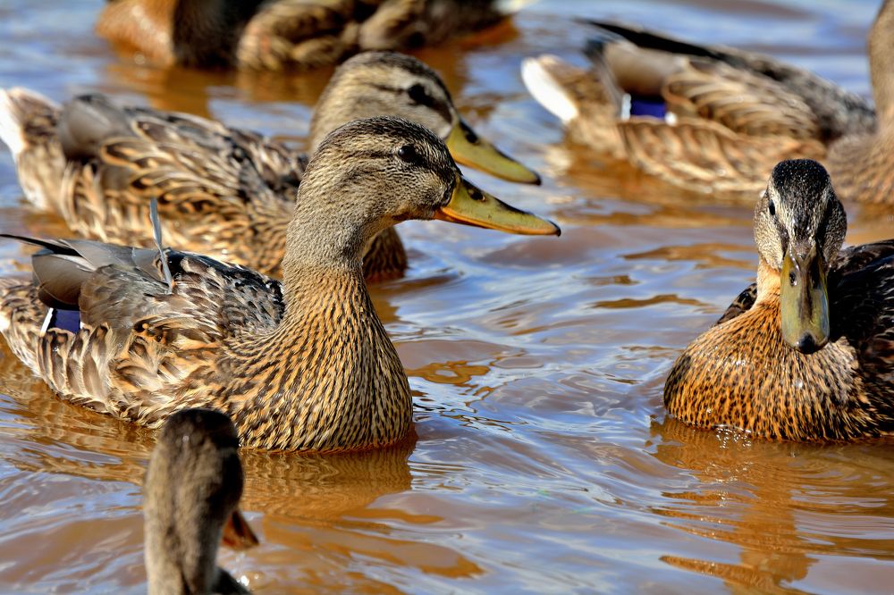 Photograph by Александр Зуев