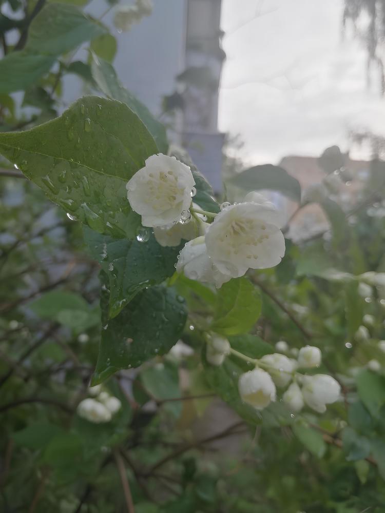 Photograph by Ирина Громова