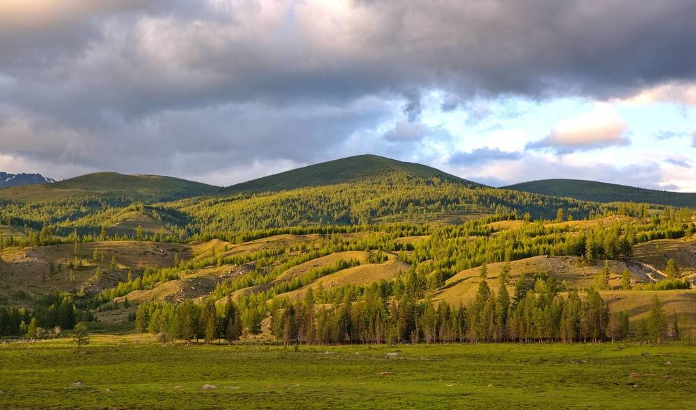 Photograph by Алексей Хазов