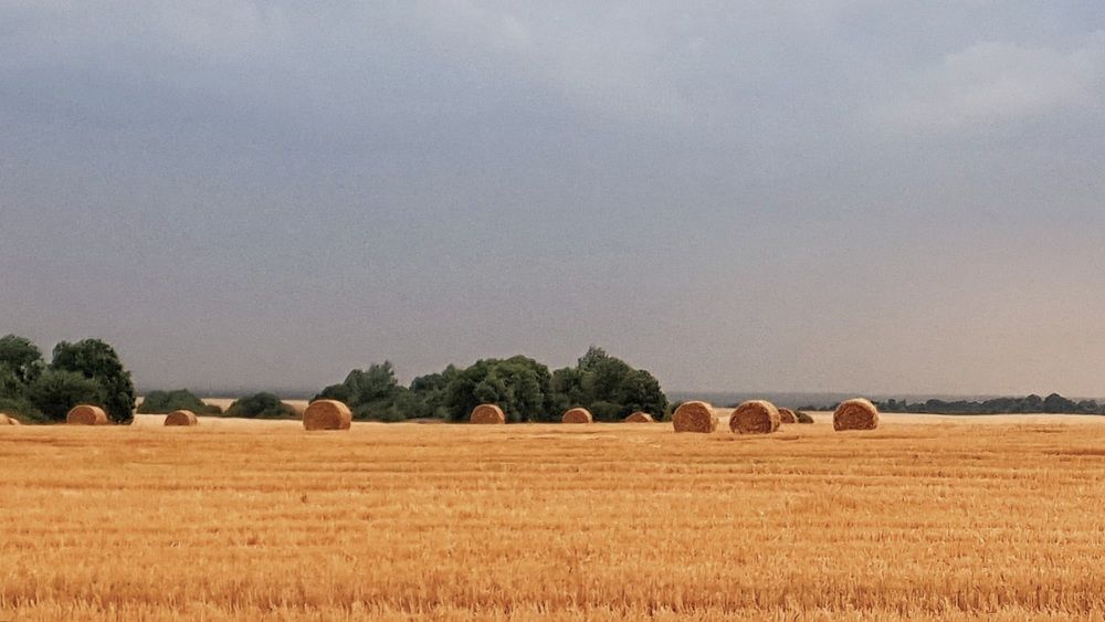 Фотография автора Ирина Дроздова