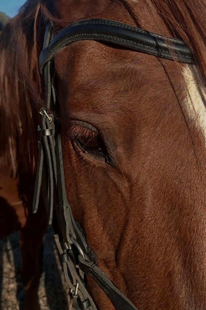 Photograph by Дарья Колесниченко