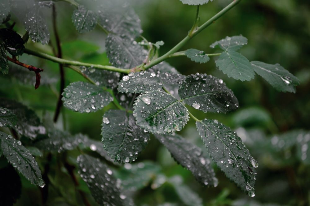 Фотография автора Алина Руденко