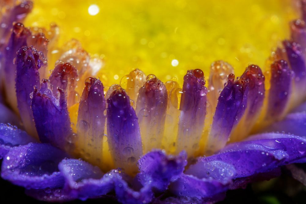 Фотография автора Виталий Сурков