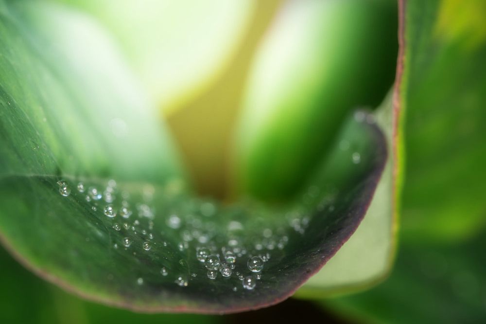 Фотография автора Виталий Сурков