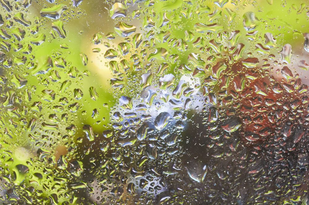 Photograph by Лебедев Юрий-Александрович