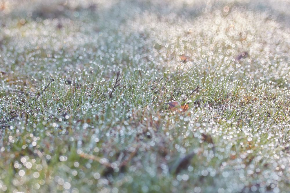 Photograph by Лебедев Юрий-Александрович