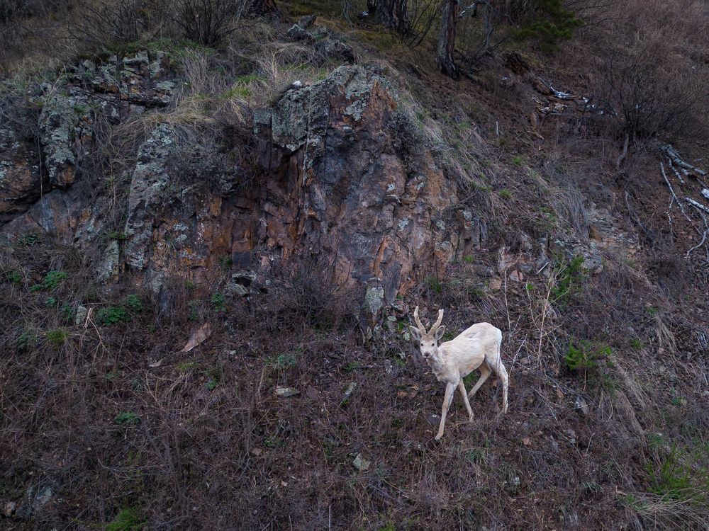 Фотография автора Иван Фомин