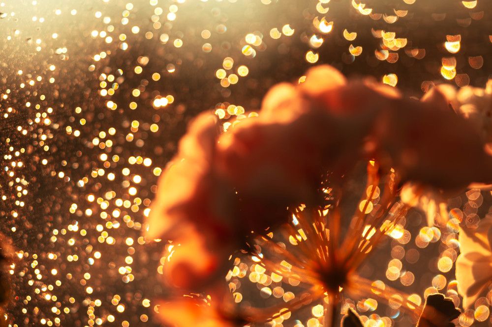 Фотография автора Алина Руденко