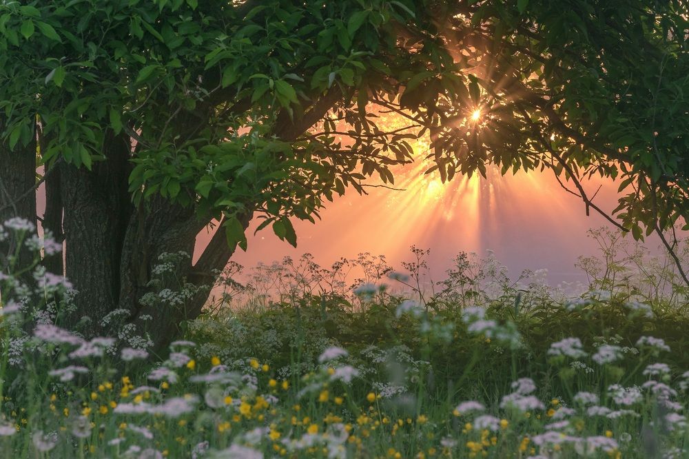 Photograph by Елена Амозова