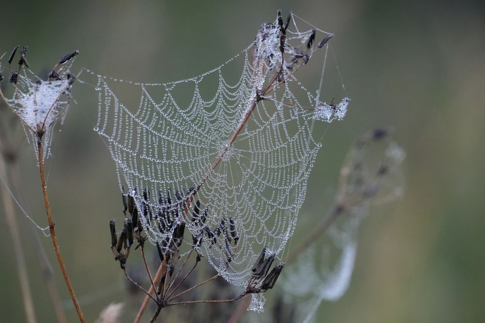 Photograph by Михаил Трусов