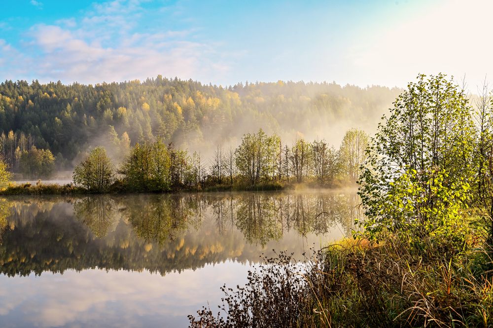 Золото осени