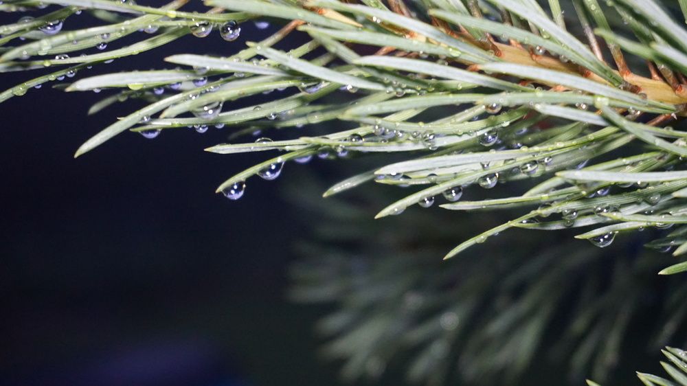 Photograph by Михаил Трусов