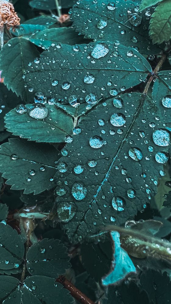 Фотография автора Ирина Павлова