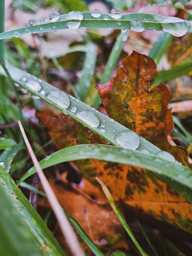 Фотография автора Рузинова Елена