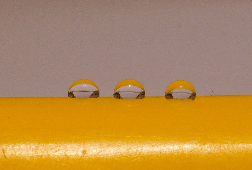 Photograph by Михаил Трусов