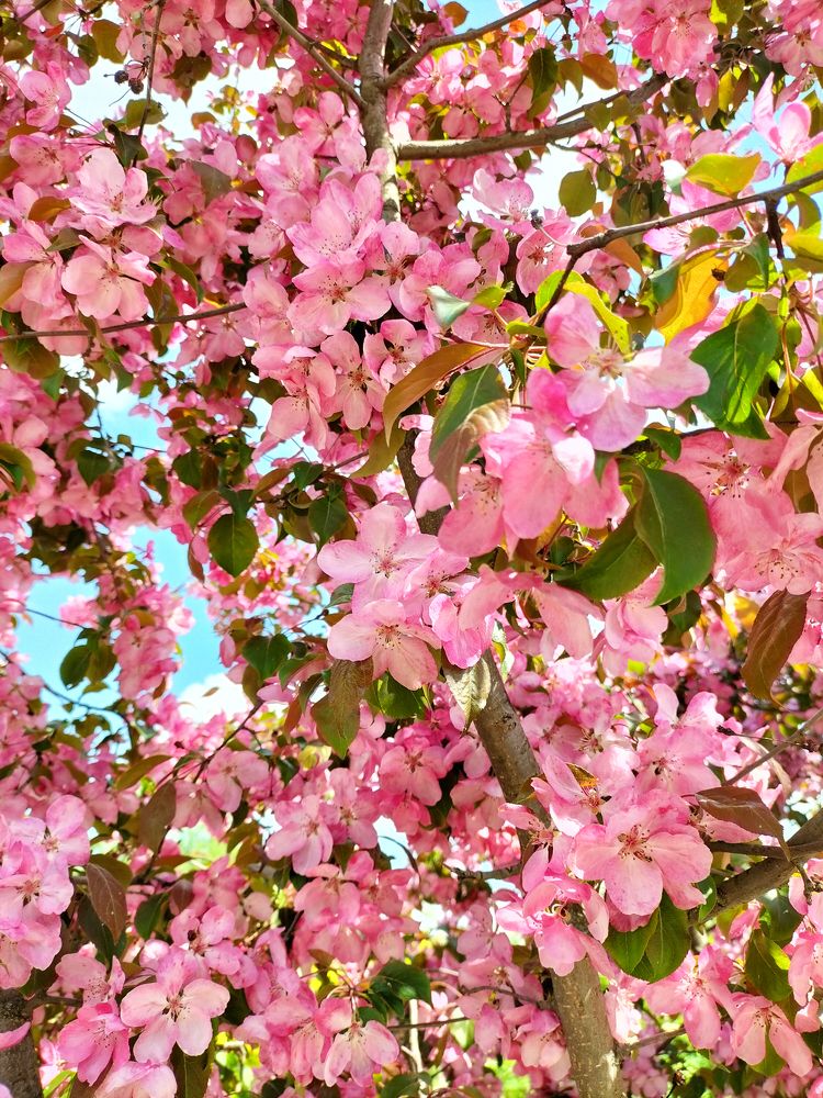 Photograph by Лилия Голд