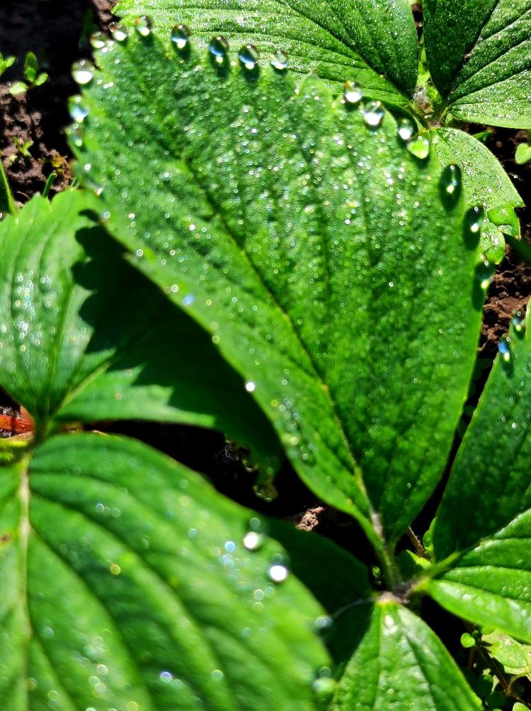 Фотография автора Рузинова Елена