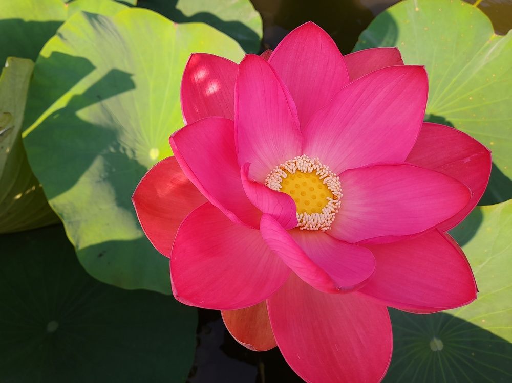 Photograph by Ольга Березовская