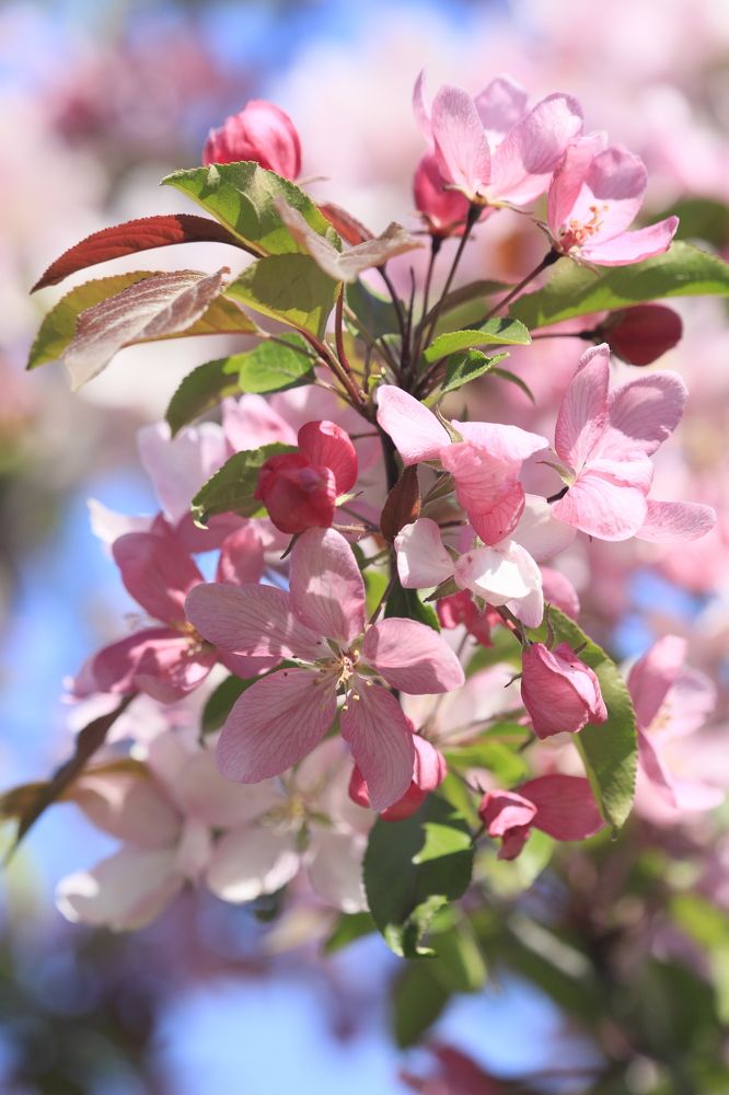 Photograph by Владимир Борозенец