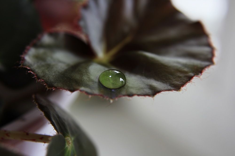 Photograph by Сироткина Нина