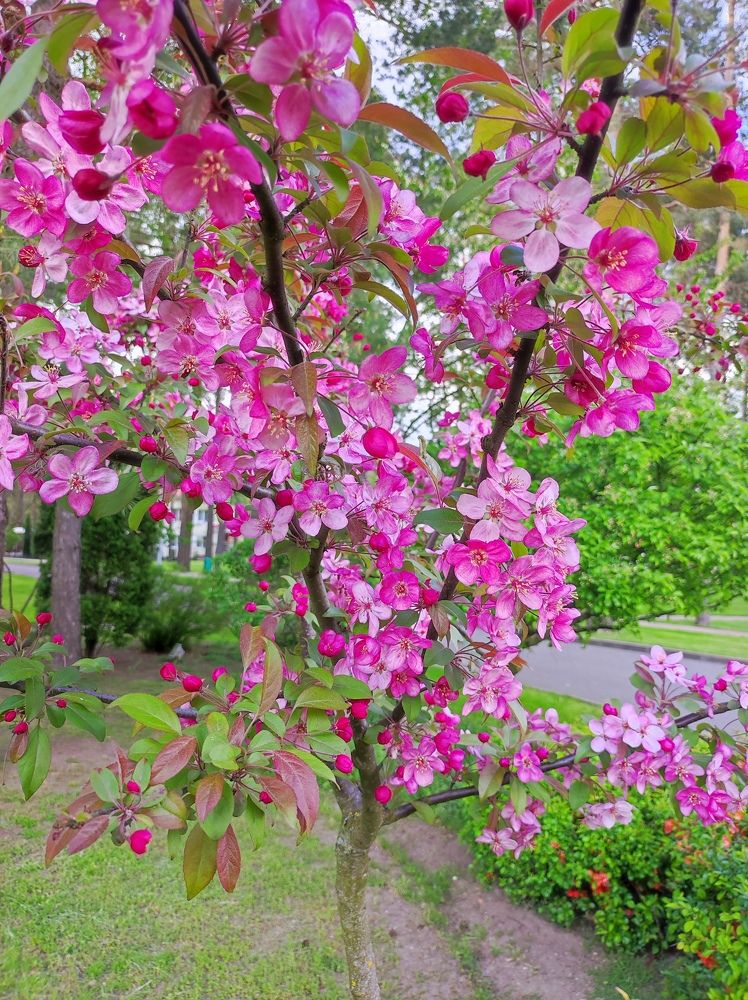 Фотография автора Рузинова Елена