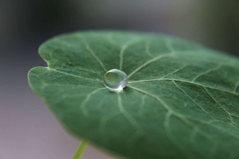 Photograph by Сироткина Нина