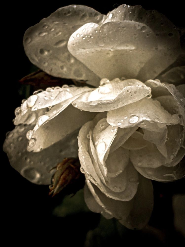 Photograph by Дарья Макаревич