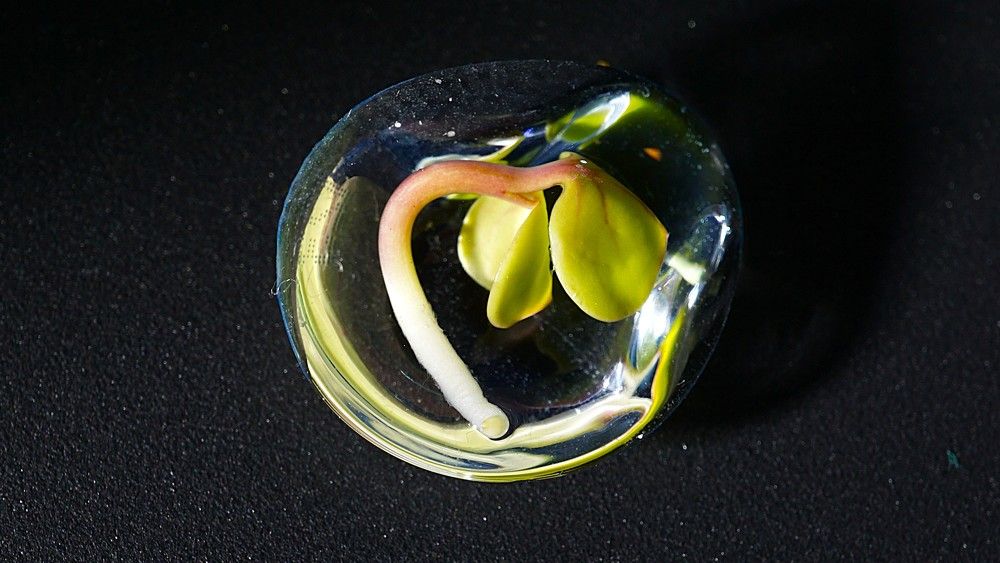 Photograph by Михаил Трусов