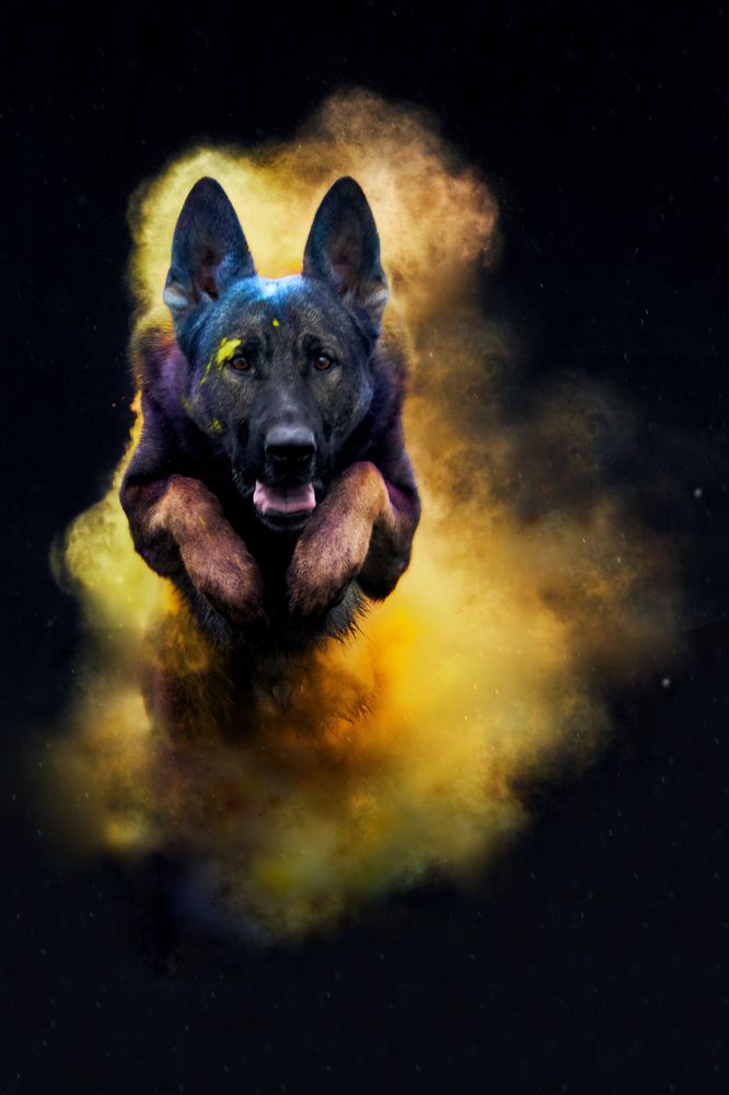 Photograph by Natalya Gracheva