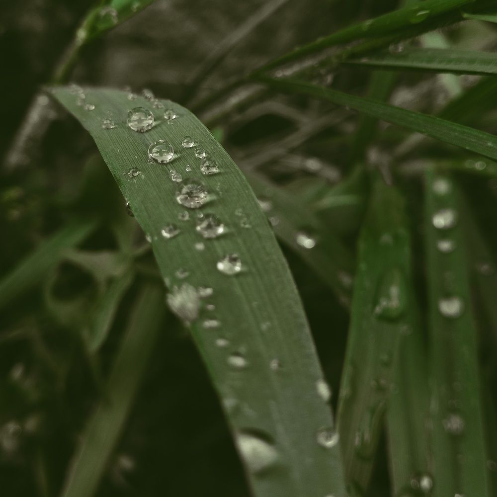 Photograph by Кристина Присяжная