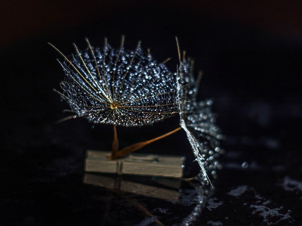 Photograph by Людмила Прибылова