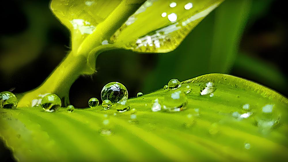 Photograph by Ambewadikar sourabh