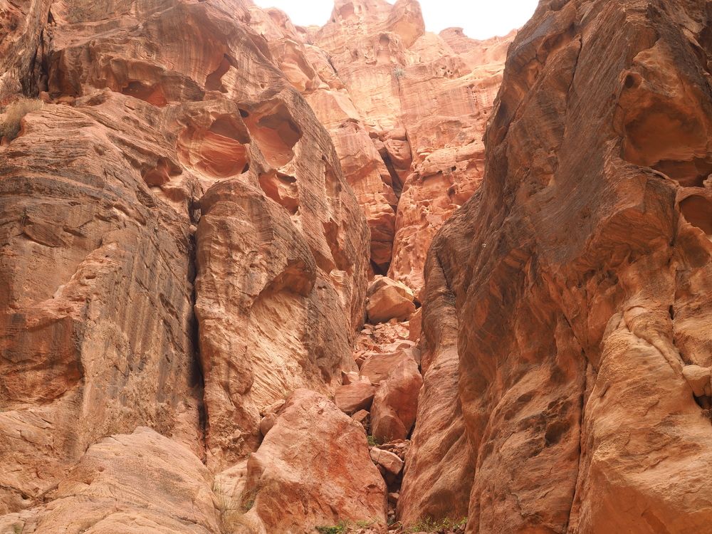 Photograph by Борис Полтавец