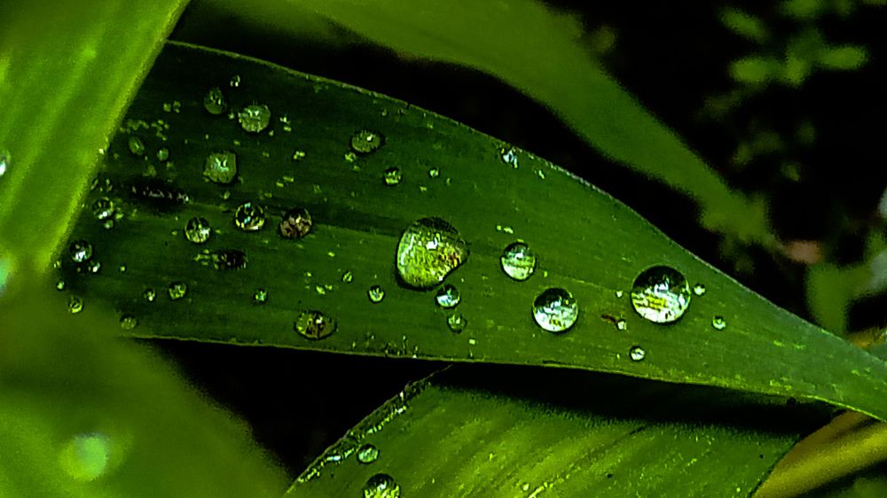 Photograph by Ambewadikar sourabh