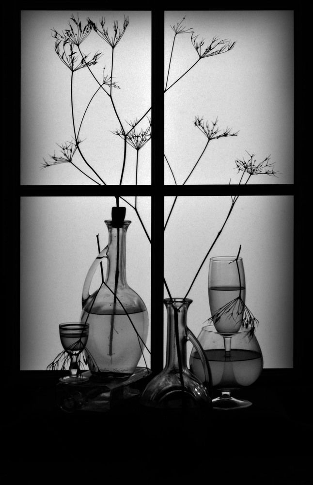 Photograph by Александр Зарх