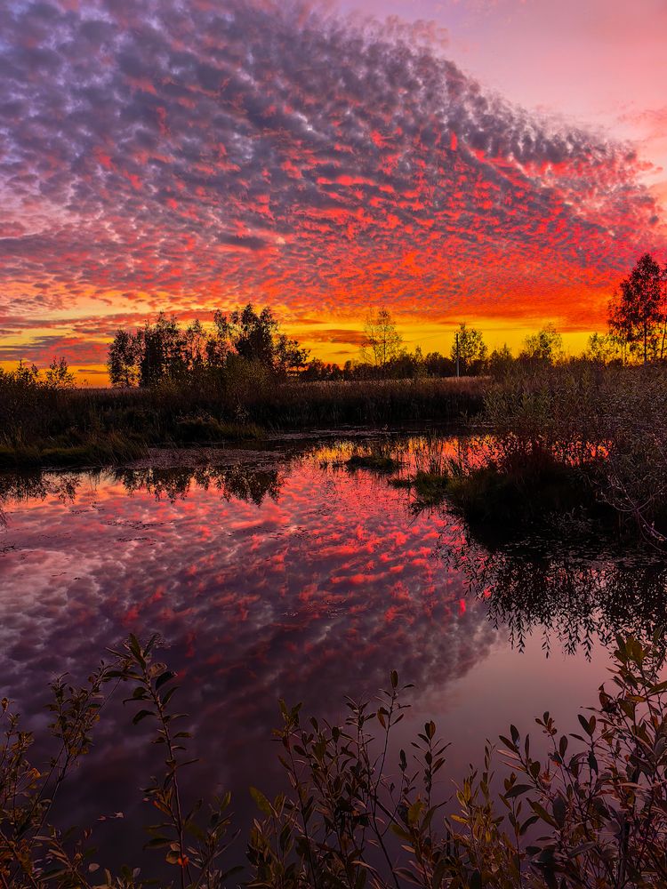 Photograph by Наталья Балабанова