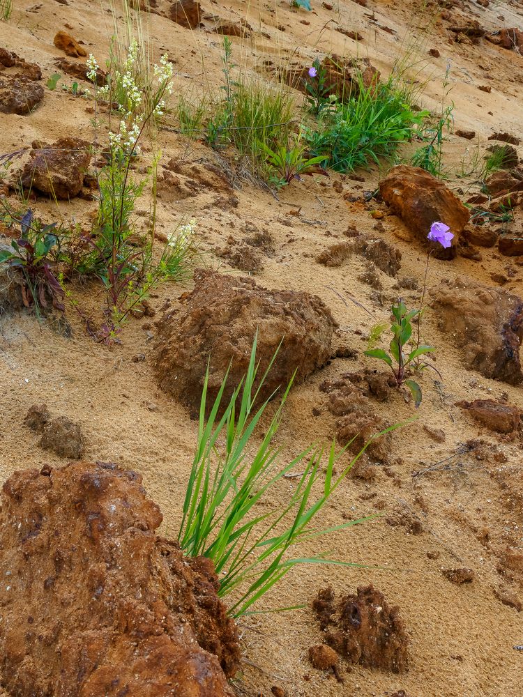 Photograph by Наталья Колеватова