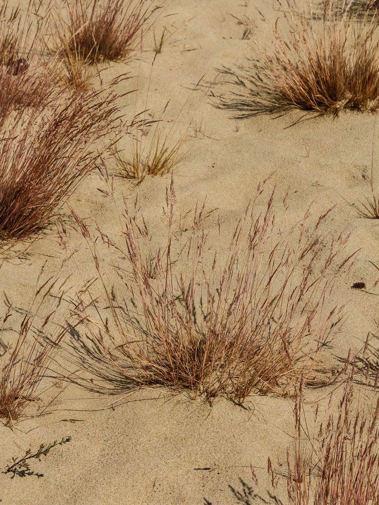 Photograph by Наталья Колеватова