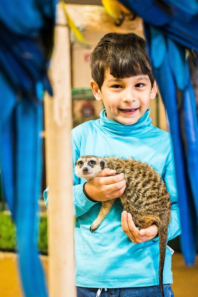 Photograph by Артём Александрович