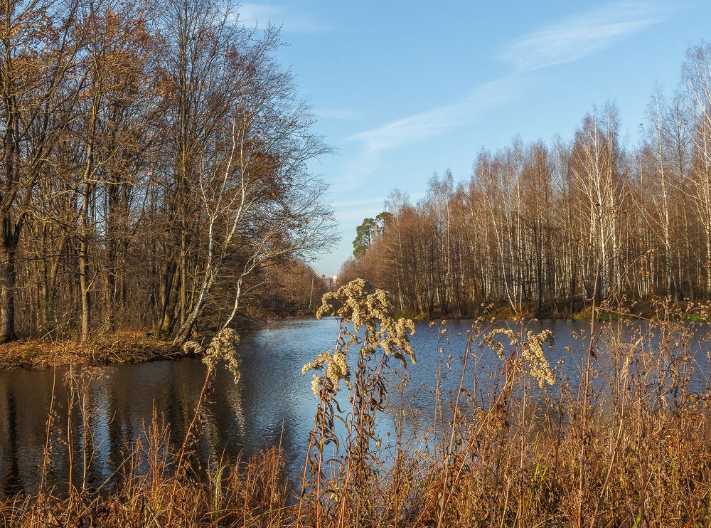 Photograph by Наталья Колеватова