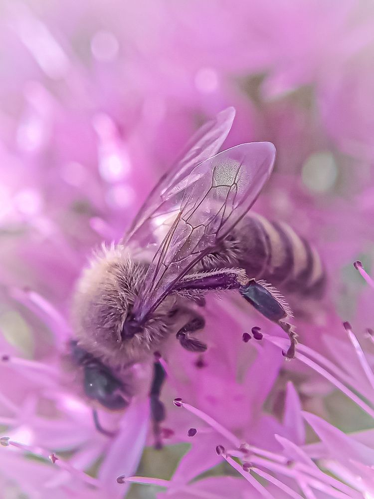 Photograph by Наталья Алексеева