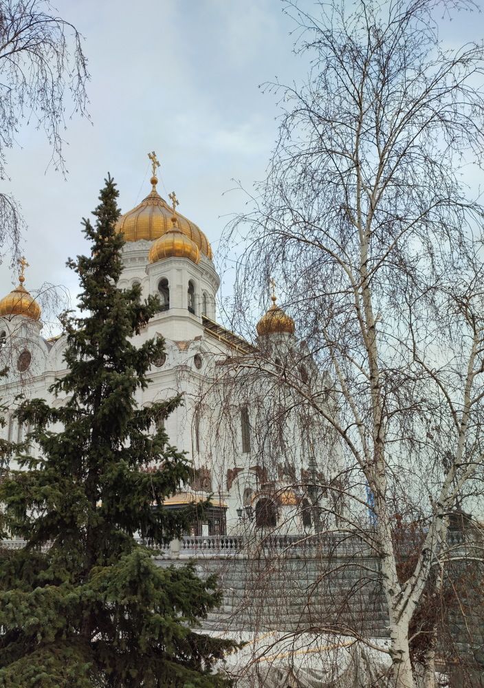 Photograph by Людмила Воропаева