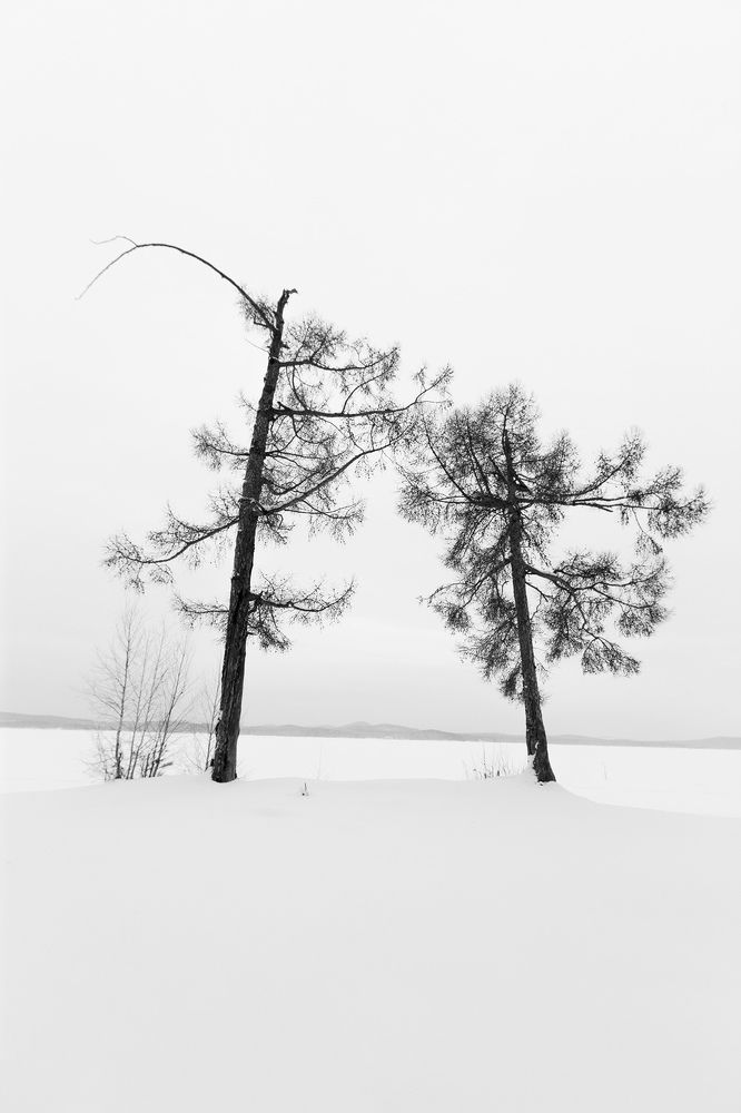 Photograph by Сергей Гарифуллин