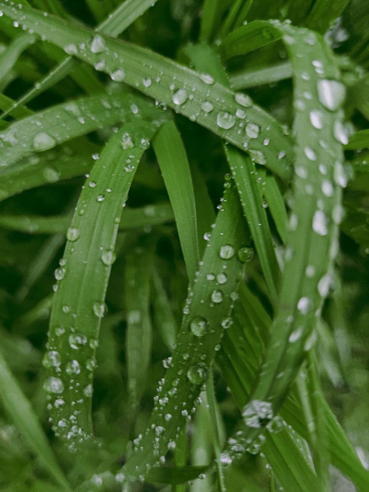 Photograph by Дарья Овсянникова