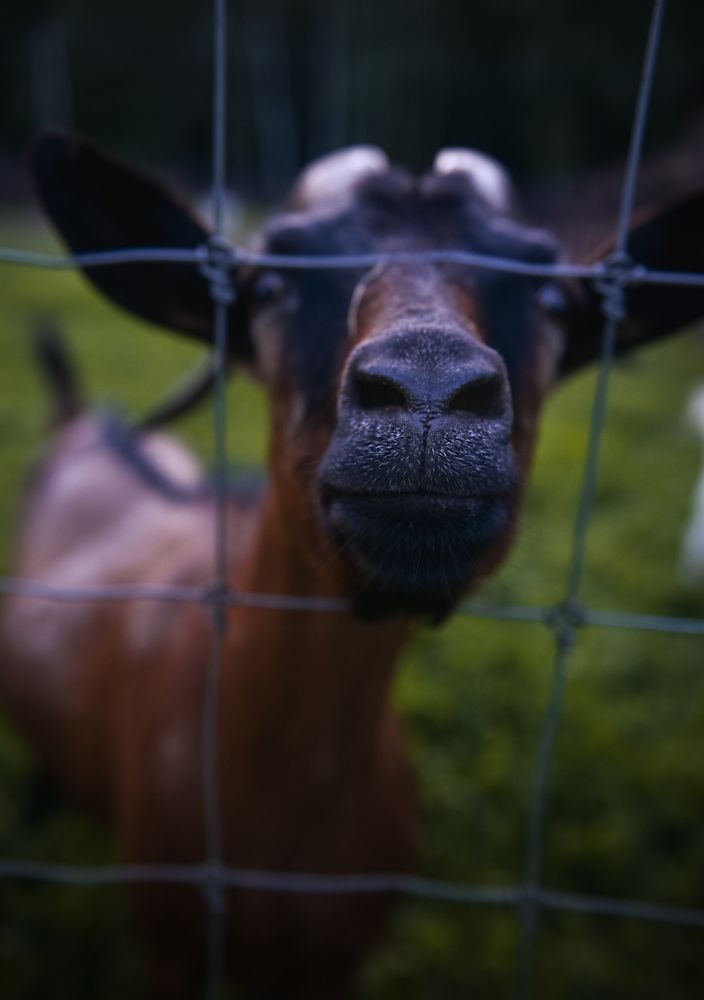 Photograph by Наталья Сергеева