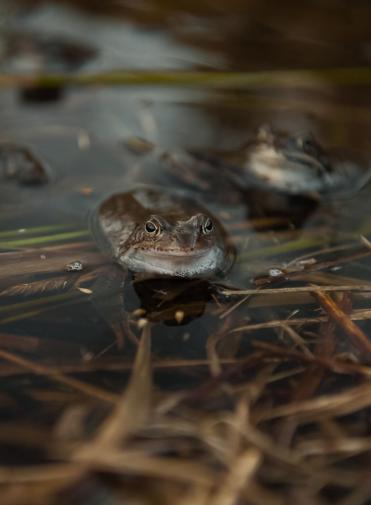 Photograph by Наталья Сергеева