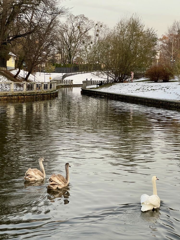 Photograph by Татьяна Михайловна