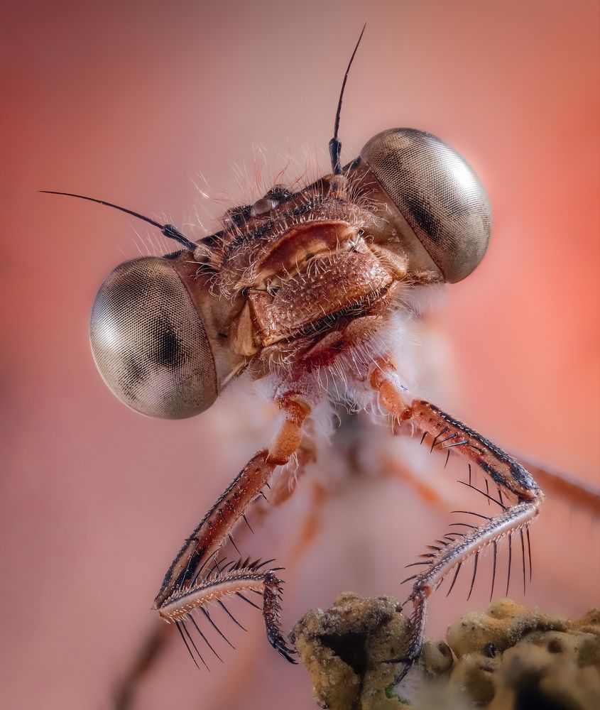 Photograph by Юрий Юрьевич Подгрушный